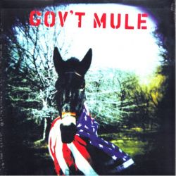 GOV'T MULE - GOV'T MULE (2 LP) 