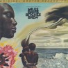 DAVIS, MILES - BITCHES BREW (2LP) - MFSL EDITION - 180 GRAM PRESSING