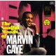 GAYE, MARVIN - THE SOULFUL MOODS OF MARVIN GAYE (1 LP) - 180 GRAM PRESSING