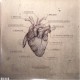 KATATONIA - THE FALL OF HEARTS (2 LP + MP3 DOWNLOAD) - 180 GRAM PRESSING