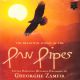 ZAMFIR, GHEORGHE - THE BEAUTIFUL SOUND OF THE PAN PIPES (1 CD)