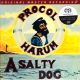PROCOL HARUM - A SALTY DOG (1 SACD) - LIMITED NUMBERED MFSL EDITION - WYDANIE AMERYKAŃSKIE