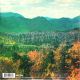 TAME IMPALA - INNERSPEAKER (2 LP) - 180 GRAM PRESSING - WYDANIE AMERYKAŃSKIE