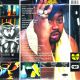 GHOSTFACE KILLAH - IRONMAN (2 LP) - WYDANIE AMERYKAŃSKIE