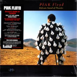 PINK FLOYD - DELICATE SOUND OF THUNDER (2 LP) - 180 GRAM PRESSING - WYDANIE AMERYKAŃSKIE