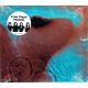 PINK FLOYD - MEDDLE (1 CD) - WYDANIE AMERYKAŃSKIE