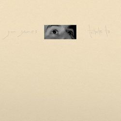 Jim James - Tribute To (Vinyl LP)
