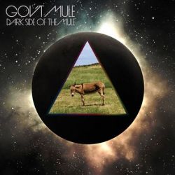 Gov't Mule - Darkside of the Mule (Vinyl 2LP)