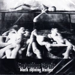 CARPATHIAN FOREST - BLACK SHINING LEATHER (1 CD)