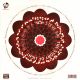 VAI, STEVE - THE STORY OF LIGHT - REAL ILLUSIONS: OF A... (2 LP)