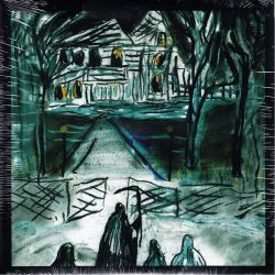 ADAMS, RYAN - 29 (1 LP) - WYDANIE AMERYKAŃSKIE