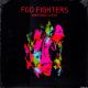 FOO FIGHTERS - WASTING LIGHT (2 LP) - 45 RPM EDITION