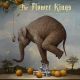 FLOWER KINGS - WAITING FOR MIRACLES (2 LP + 2 CD) 
