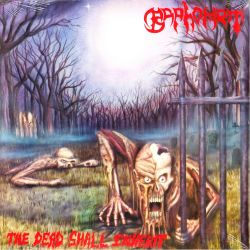 BAPHOMET - THE DEAD SHALL INHERIT (1 LP)
