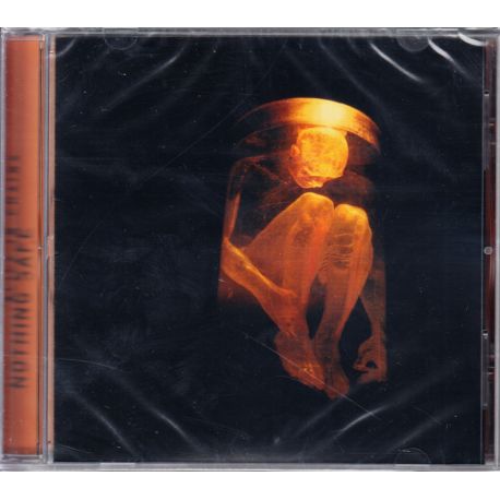 ALICE IN CHAINS - NOTHING SAFE: THE BEST OF THE BOX (1 CD) - WYDANIE AMERYKAŃSKIE