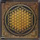 BRING ME THE HORIZON - SEMPITERNAL (1 LP)
