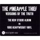 PINEAPPLE THIEF, THE - VERSIONS OF THE TRUTH (1 LP) - 180 GRAM PRESSING