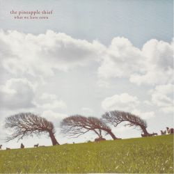 PINEAPPLE THIEF, THE - WHAT WE HAVE SOWN (2 LP) 