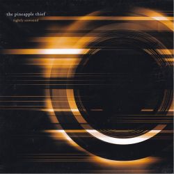 PINEAPPLE THIEF, THE - TIGHTLY UNWOUND (2 LP) 