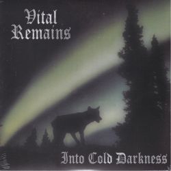 VITAL REMAINS ‎– INTO COLD DARKNESS (1 LP)