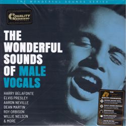 THE WONDERFUL SOUNDS OF MALE VOCALS (2 LP) - AP EDITION - 180 GRAM PRESSING - WYDANIE AMERYKAŃSKE 