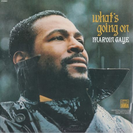 GAYE, MARVIN - WHAT'S GOING ON (1LP) - 180 GRAM PRESSING