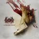 BLOODBATH - THE WACKEN CARNAGE (CD + DVD)