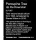 PORCUPINE TREE – UP THE DOWNSTAIR (2 LP) - REMASTERED BY STEVEN WILSON