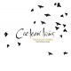 COCTEAU TWINS - TREASURE HIDING: THE FONTANA YEARS (4 CD)