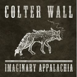 WALL, COLTER - IMAGINARY APPALACHIA (1 LP) - 45RPM - WYDANIE AMERYKAŃSKIE