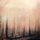 IF THESE TREES COULD TALK - RED FOREST (1 LP) - 180 GRAM PRESSING