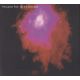 PORCUPINE TREE - UP THE DOWNSTAIR (2 CD)