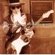 VAUGHAN, STEVIE RAY AND THE DOUBLE TROUBLE - LIVE AT CARNEGIE HALL (2LP) - MOV EDITION - 180 GRAM PRESSING