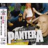 PANTERA - THE BEST OF (1 SHM-CD) - WYDANIE JAPOŃSKIE
