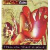 AT THE GATES - TERMINAL SPIRIT DISEASE (1 LP) - 180 GRAM