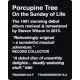 PORCUPINE TREE - ON THE SUNDAY OF LIFE... (2 LP)