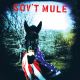GOV'T MULE - GOV'T MULE (1 CD)