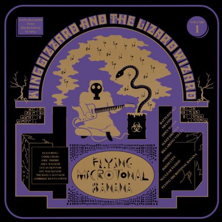 KING GIZZARD AND THE LIZARD WIZARD - FLYING MICROTONAL BANANA (1 LP) - YELLOW VINYL - WYDANIE USA