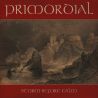 PRIMORDIAL - STORM BEFORE CALM (1 LP) - 180 GRAM PRESSING