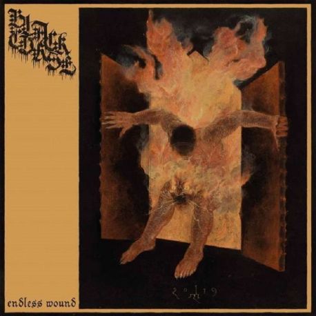 BLACK CURSE - ENDLESS WOUND (1 LP)