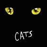 WEBBER, ANDREW LLOYD - CATS (2 LP)