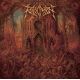 REVOCATION - NETHERHEAVEN (1 LP) - 180 GRAM VINYL