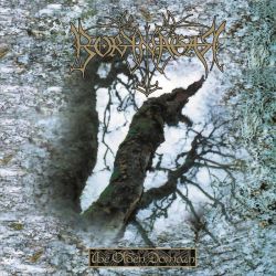 BORKNAGAR - THE OLDEN DOMAIN (1 CD)