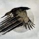 KATATONIA - MNEMOSYNEAN (3 LP)