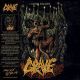 GRAVE - MORBID ASCENT (1 CD)