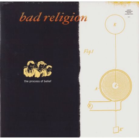 BAD RELIGION - THE PROCESS OF BELIEF (1 LP) - 20TH ANNIVERSARY ORANGE BLACK GALAXY VINYL