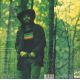 NIEMEN - STRANGE IS THIS WORLD (1 LP)