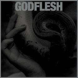 GODFLESH - PURGE (1 LP)