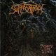 SUFFOCATION – PIERCED FROM WITHIN (1 LP) - LIMITED TRANSPARENT BLUE VINYL