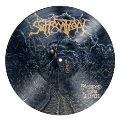 SUFFOCATION - PIERCED FROM WITHIN (1 LP) - LIMITED PICTURE DISC